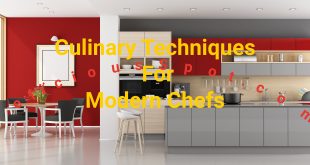Culinary techniques for modern chefs
